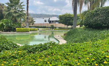 VENTA TERRENO PROVENZA 164 SAN AGUSTÍN JALISCO