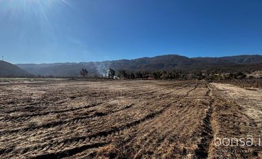 Rancho en VENTA con producción de uva
