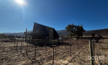 Rancho en VENTA con producción de uva