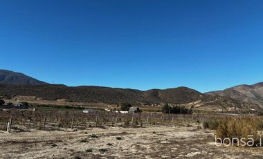 Rancho en VENTA con producción de uva