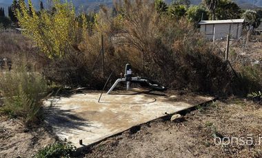 Rancho en VENTA con producción de uva