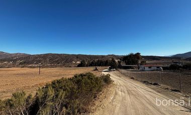 Rancho en VENTA con producción de uva