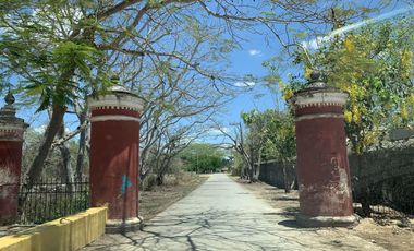 Terreno en venta en ex Hacienda Henequenera Ticopo Yucatán