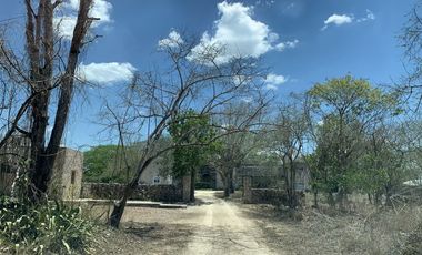 Terreno en venta en ex Hacienda Henequenera Ticopo Yucatán