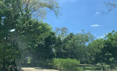 Terreno en venta en ex Hacienda Henequenera Ticopo Yucatán
