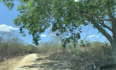 Terreno en venta en ex Hacienda Henequenera Ticopo Yucatán