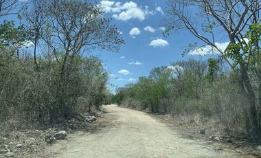 Terreno en venta en ex Hacienda Henequenera Ticopo Yucatán