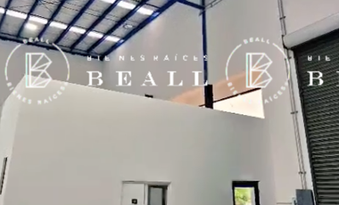 BODEGA  EN RENTA   EN VIALIDAD  NOGALES