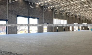 BODEGAS INDUSTRIALES EN RENTA, AL SUR  CARRETERA CUAUHTÉMOC