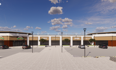 LOCAL COMERCIAL EN RENTA EN PUERTA RELIZ