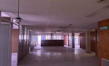 EDIFICIO EN RENTA  EN  ZONA CENTRO