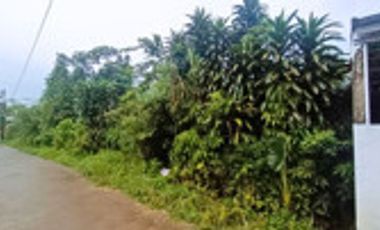 Dijual Tanah Residensial Duren Seribu Murah