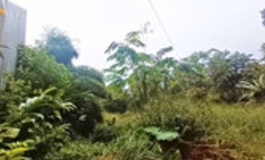 Dijual Tanah Residensial Duren Seribu Murah