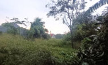 Dijual Tanah Residensial Duren Seribu Murah