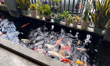 MURAH!! TURUN HARGA ! Rumah 2 Lantai Graha Sedayu Sejahtera Jl. WATES