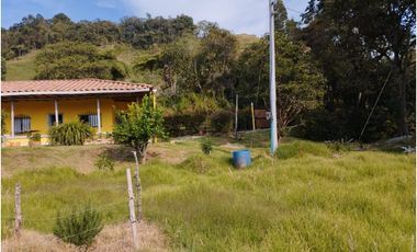 VENDO FINCA EN EL MUNICIPIO DE LA CEJA VEREDA LLANADAS