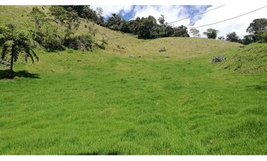 VENDO FINCA EN EL MUNICIPIO DE LA CEJA VEREDA LLANADAS