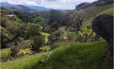 VENDO FINCA EN EL MUNICIPIO DE LA CEJA VEREDA LLANADAS