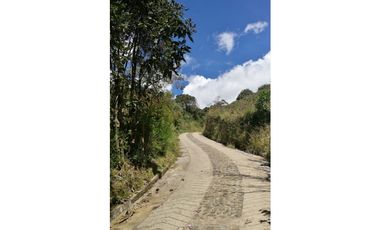 VENDO FINCA EN EL MUNICIPIO DE LA CEJA VEREDA LLANADAS