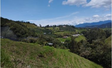 VENDO FINCA EN EL MUNICIPIO DE LA CEJA VEREDA LLANADAS