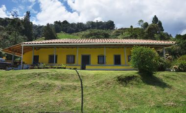 VENDO FINCA EN EL MUNICIPIO DE LA CEJA VEREDA LLANADAS