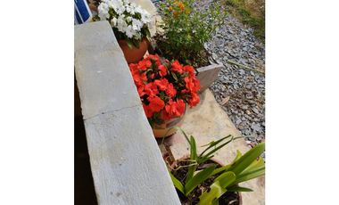 VENDO FINCA EN EL MUNICIPIO DE LA CEJA VEREDA LLANADAS