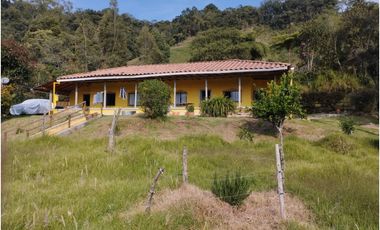 VENDO FINCA EN EL MUNICIPIO DE LA CEJA VEREDA LLANADAS