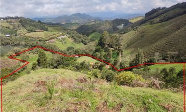 VENDO FINCA EN EL MUNICIPIO DE LA CEJA VEREDA LLANADAS