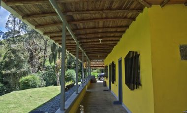 VENDO FINCA EN EL MUNICIPIO DE LA CEJA VEREDA LLANADAS