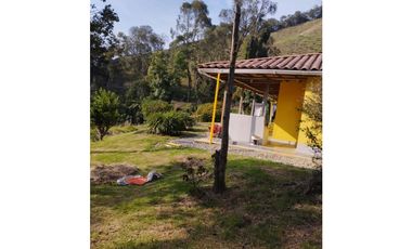 VENDO FINCA EN EL MUNICIPIO DE LA CEJA VEREDA LLANADAS