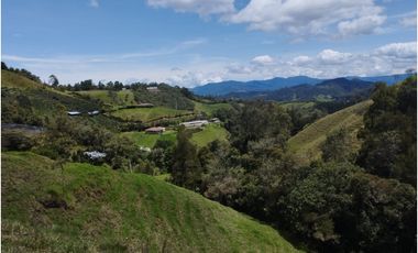 VENDO FINCA EN EL MUNICIPIO DE LA CEJA VEREDA LLANADAS