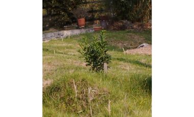 VENDO FINCA EN EL MUNICIPIO DE LA CEJA VEREDA LLANADAS