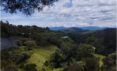 VENDO FINCA EN EL MUNICIPIO DE LA CEJA VEREDA LLANADAS