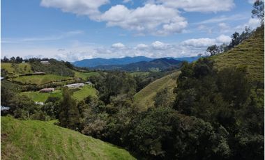 VENDO FINCA EN EL MUNICIPIO DE LA CEJA VEREDA LLANADAS