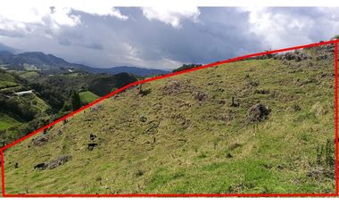 VENDO FINCA EN EL MUNICIPIO DE LA CEJA VEREDA LLANADAS