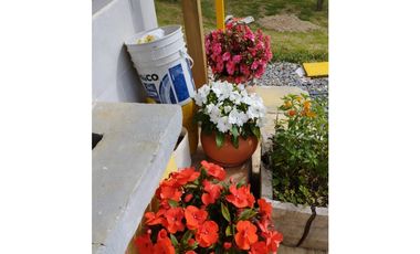VENDO FINCA EN EL MUNICIPIO DE LA CEJA VEREDA LLANADAS