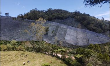 VENDO FINCA EN EL MUNICIPIO DE LA CEJA VEREDA LLANADAS