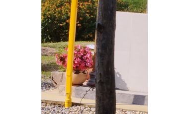 VENDO FINCA EN EL MUNICIPIO DE LA CEJA VEREDA LLANADAS