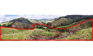 VENDO FINCA EN EL MUNICIPIO DE LA CEJA VEREDA LLANADAS