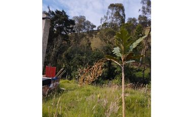 VENDO FINCA EN EL MUNICIPIO DE LA CEJA VEREDA LLANADAS