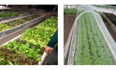 Venta de Terreno en San Carlos, Punta Barco