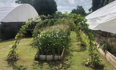 Venta de Terreno en San Carlos, Punta Barco
