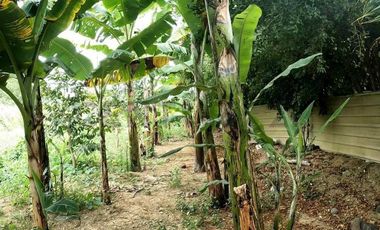 ¡Vivienda de lujo en venta con piscina y suites privadas!