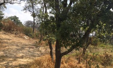 VENTA DE TERRENO EN CLUB DE GOLF ZONA ESMERALDA