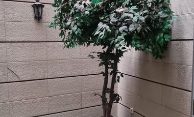 Disewakan Rumah Siap Huni 3Lt Di Sunter Bisma,Jakut