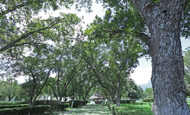 Terreno / Quinta, Los Rodriguez, Santiago, Nuevo León