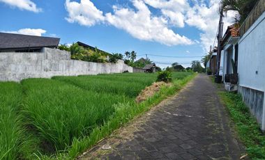 villa di Umalas Canggu, siap huni,kompleks villa,strategis area