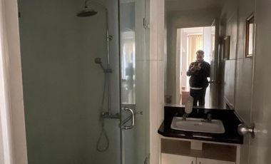 Jual Apartemen Paladian Park Desain Unik 2 Kamar Jadi 1 Kamar Besar