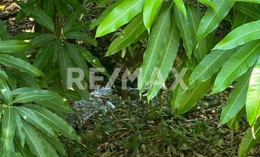 Terreno en Venta – Tzitzio, Michoacán - (3)