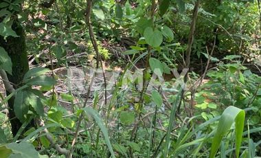 Terreno en Venta – Tzitzio, Michoacán - (3)